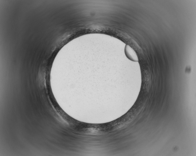 X0000116330496201001131027