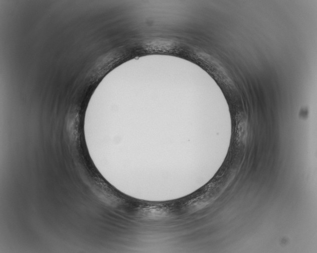X0000116330498201001131027