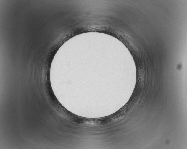 X0000116330499201001131027