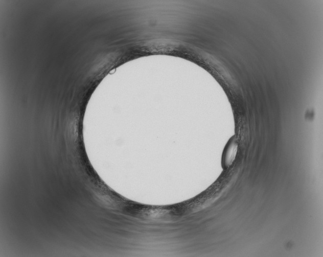X0000116330501201001131027
