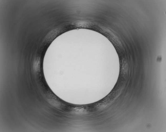 X0000116330502201001131027