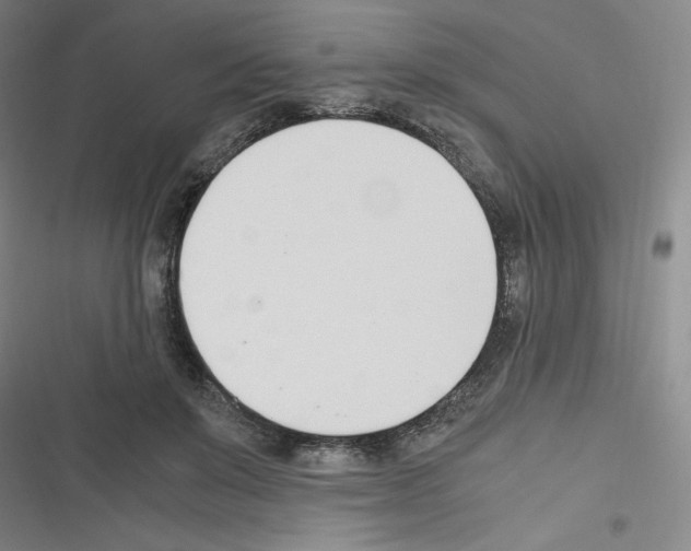 X0000116330503201001131027