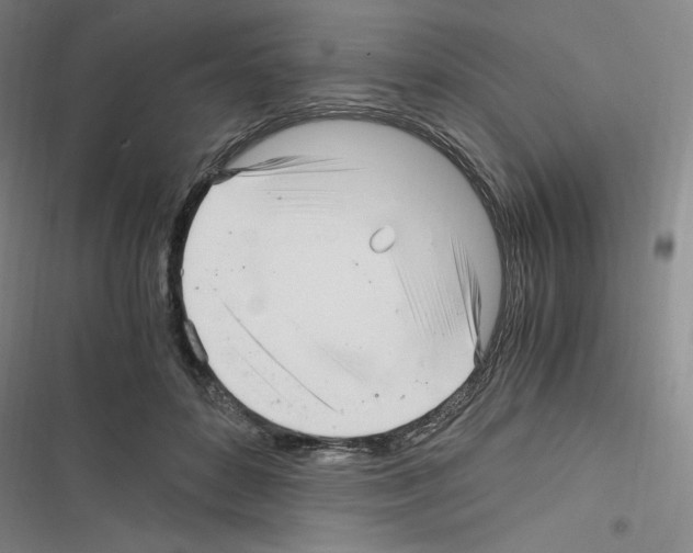 X0000116330504201001131027
