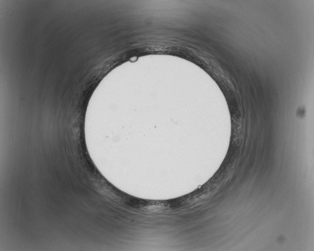 X0000116330505201001131027