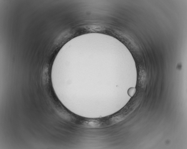 X0000116330506201001131027