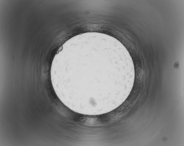 X0000116330507201001131027