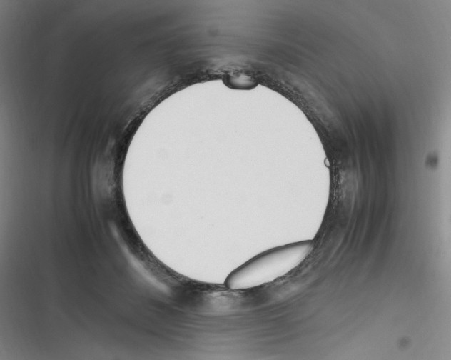 X0000116330508201001131027