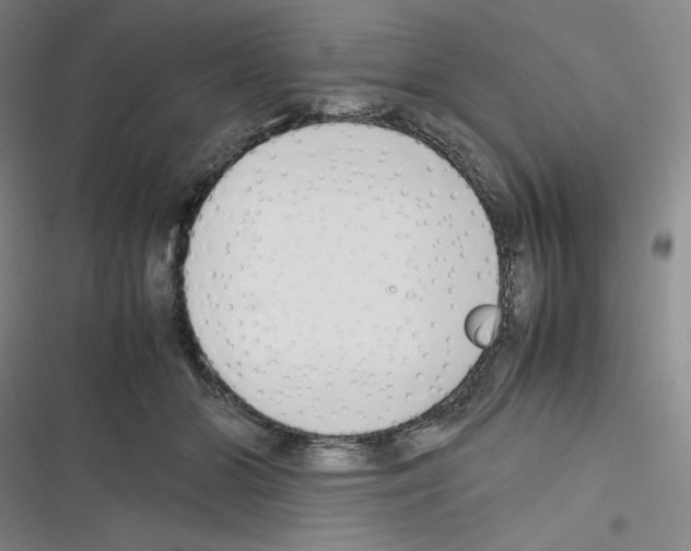 X0000116330510201001131027