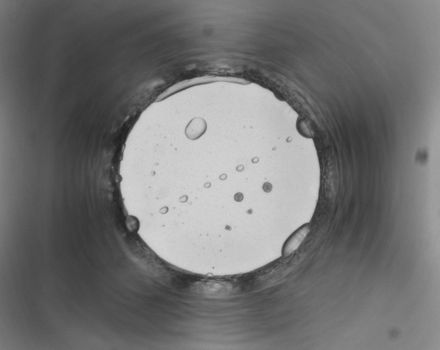 X0000116330512201001131027