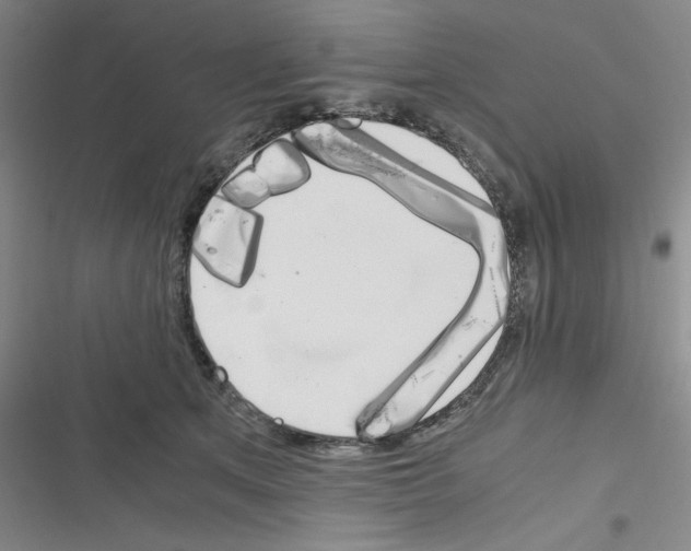 X0000116330513201001131027