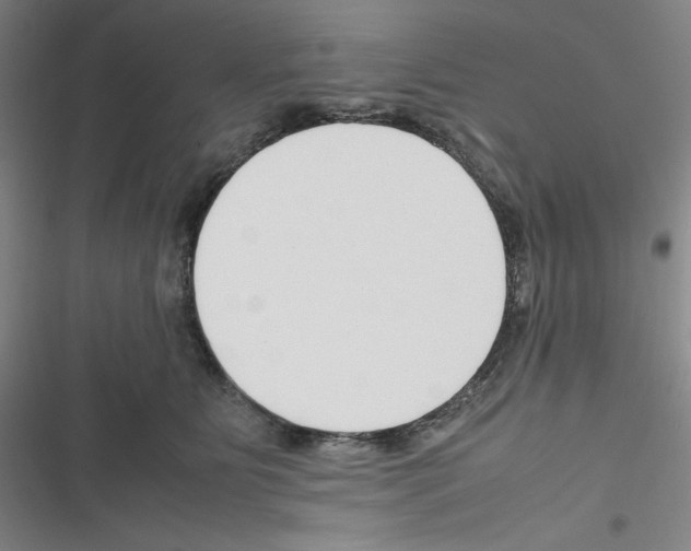 X0000116330515201001131027
