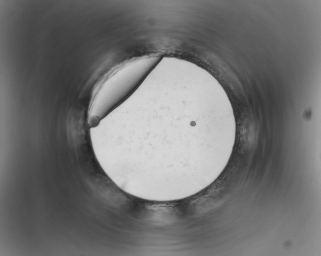 X0000116330516201001131027
