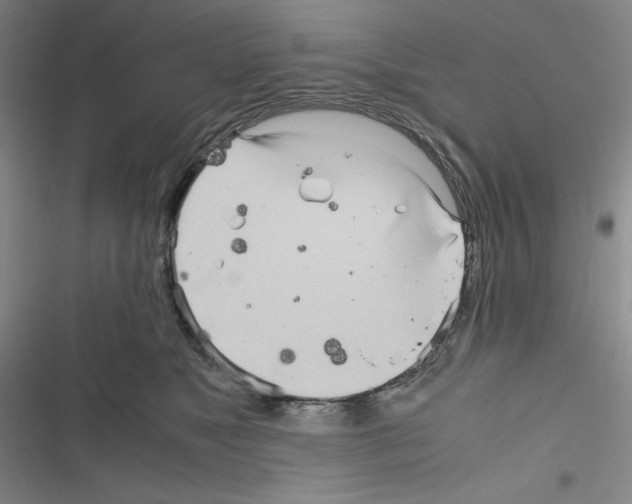 X0000116330517201001131027