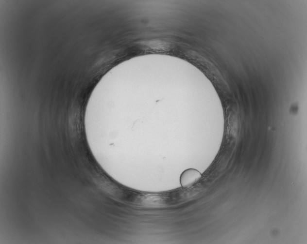 X0000116330518201001131027