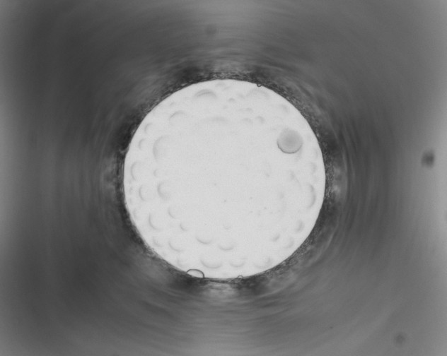X0000116330519201001131027