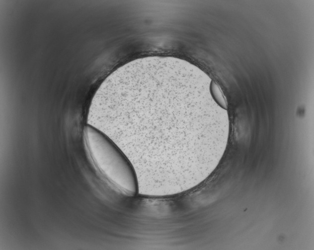X0000116330520201001131027