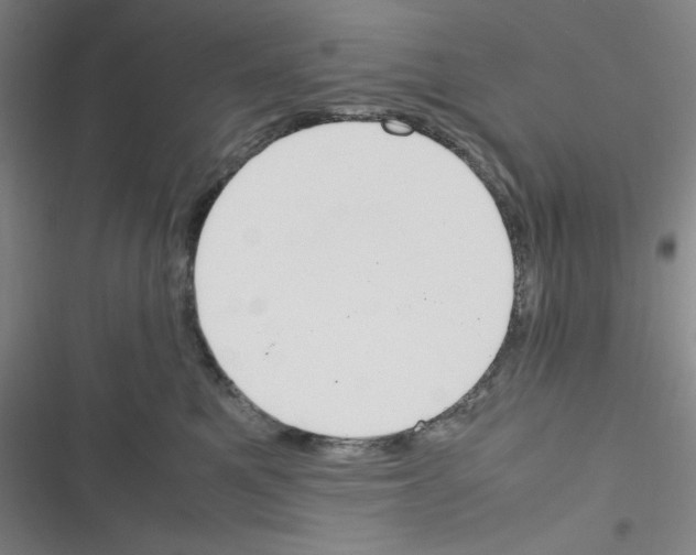 X0000116330521201001131027