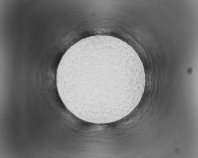 X0000116330523201001131027