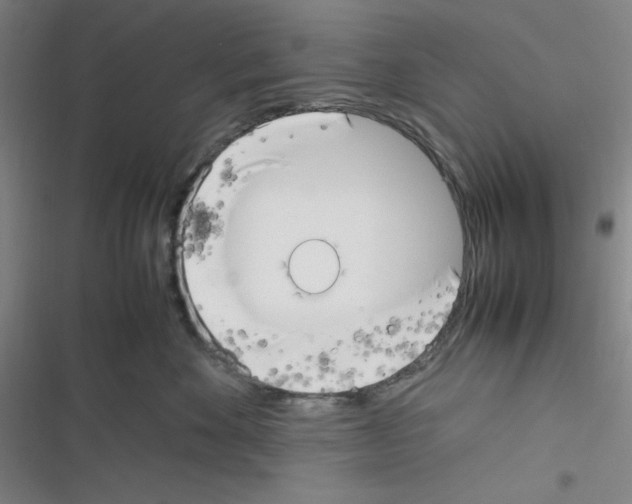 X0000116330524201001131027