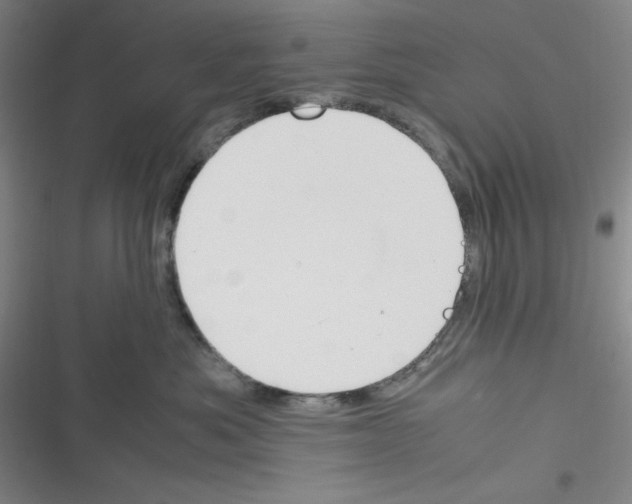 X0000116330525201001131027