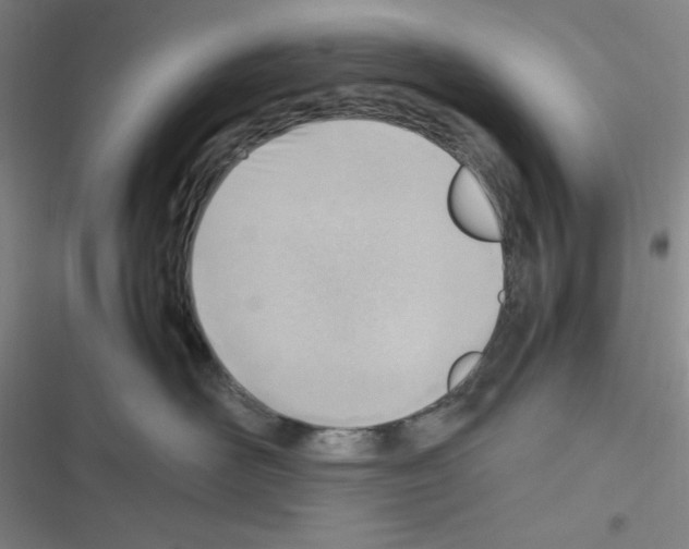 X0000116330526201001131027