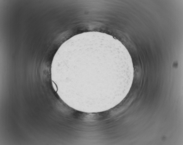 X0000116330527201001131027