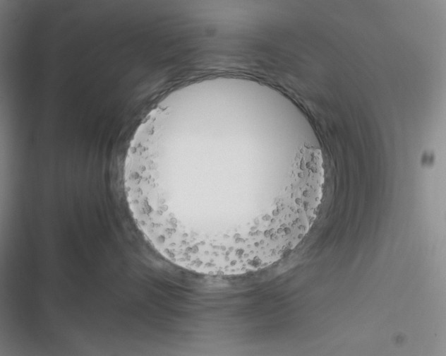 X0000116330528201001131027