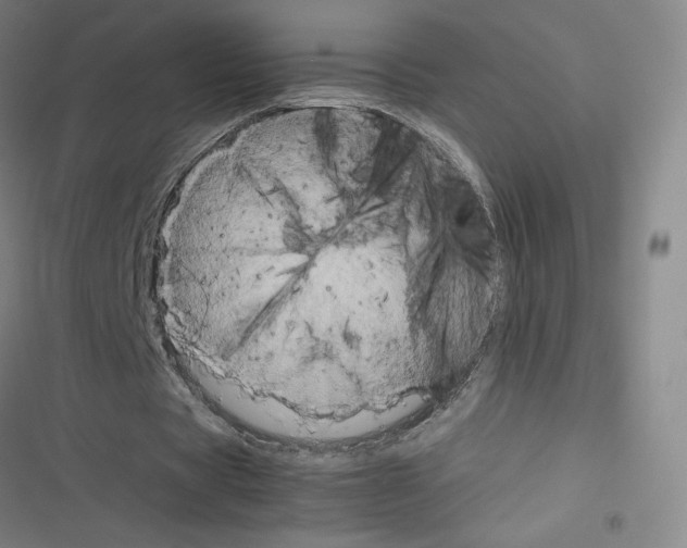 X0000116330529201001131026