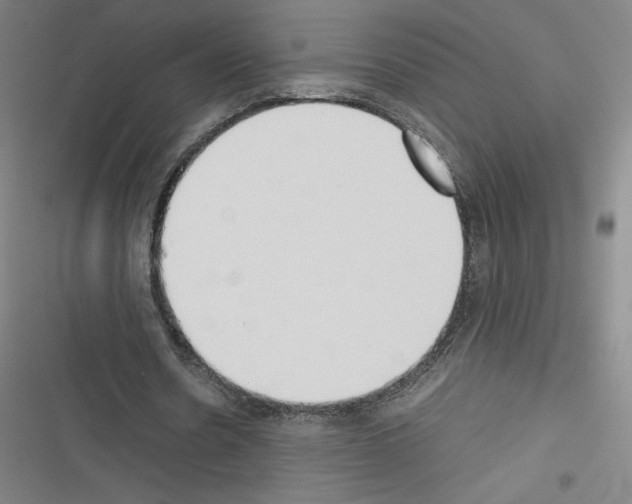 X0000116330530201001131026