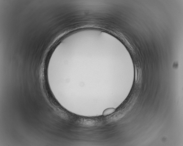 X0000116330531201001131026