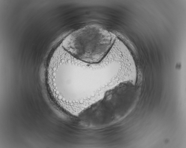 X0000116330533201001131026