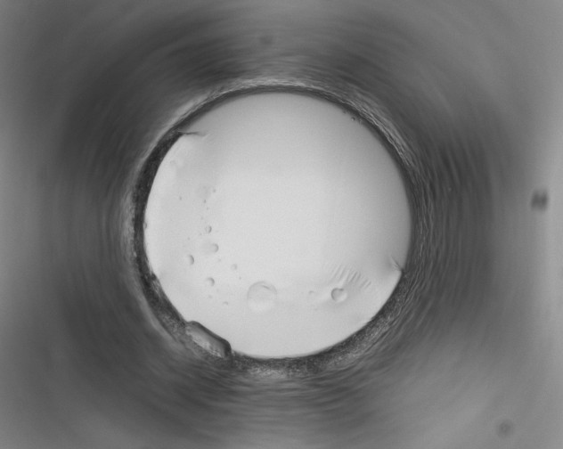 X0000116330534201001131026
