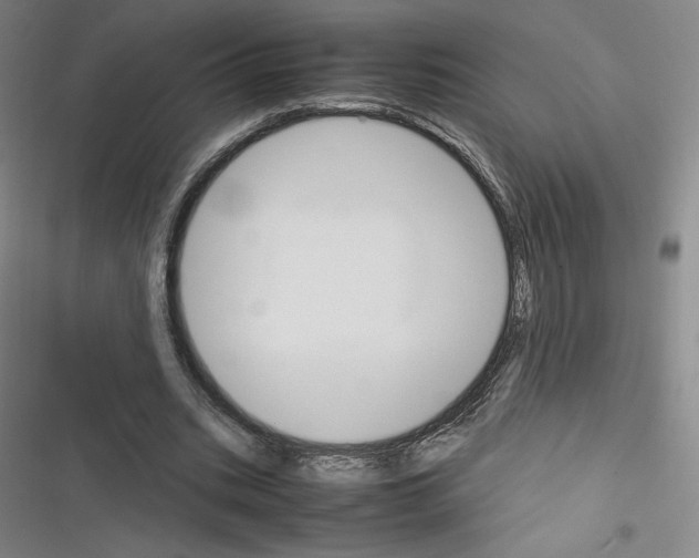 X0000116330535201001131026