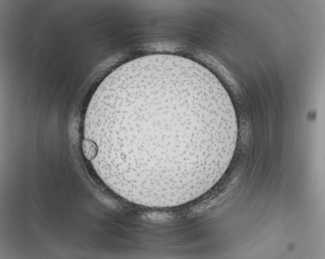 X0000116330537201001131026