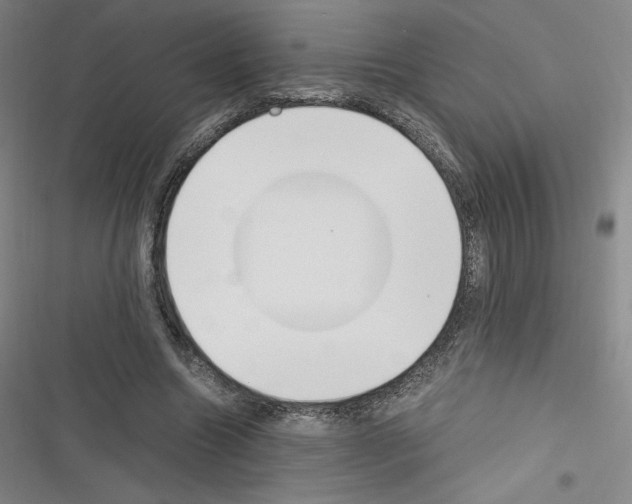 X0000116330538201001131026