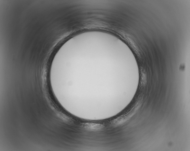 X0000116330539201001131026