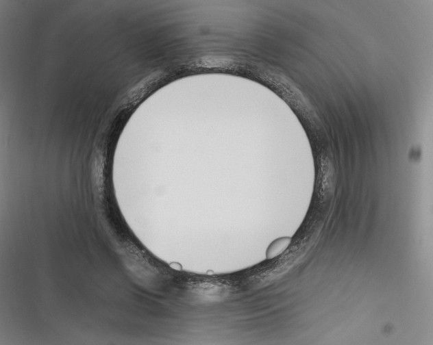 X0000116330542201001131026