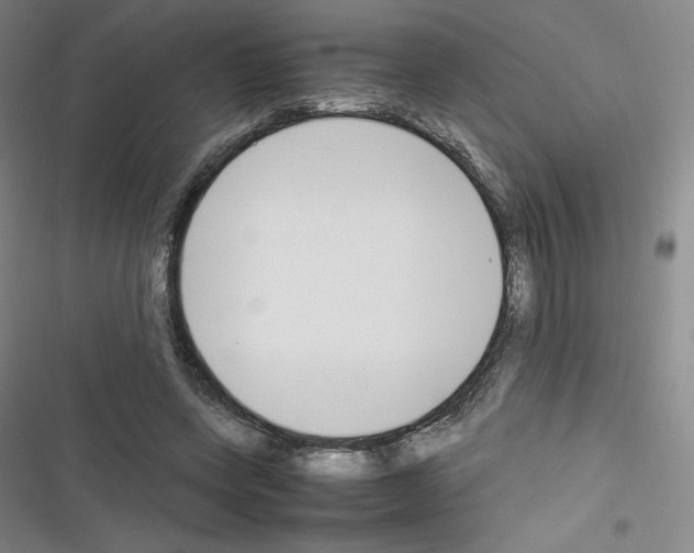 X0000116330543201001131026
