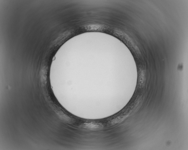 X0000116330545201001131026