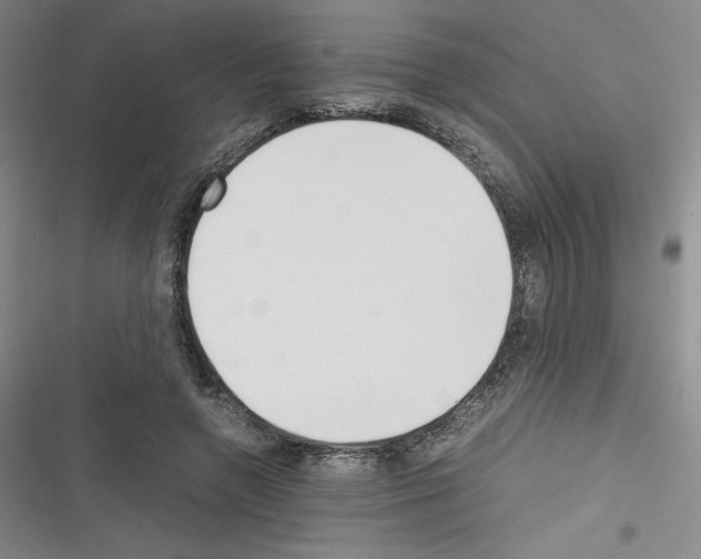 X0000116330546201001131026