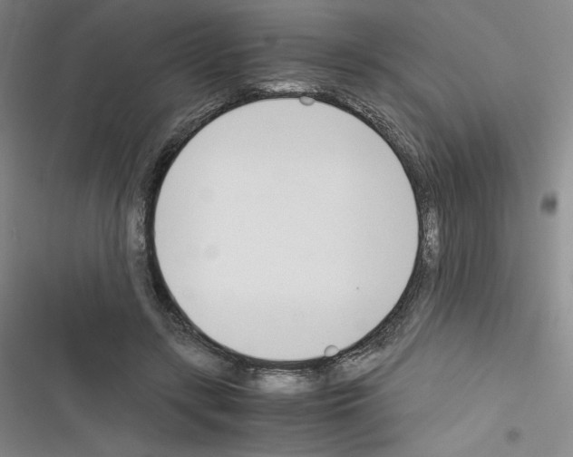 X0000116330547201001131026