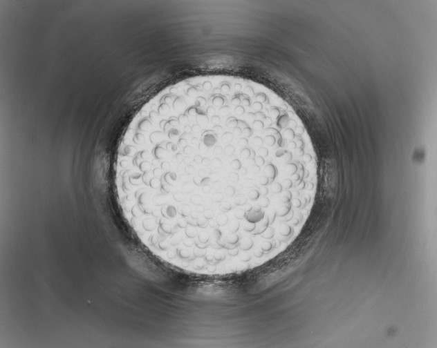 X0000116330550201001131026