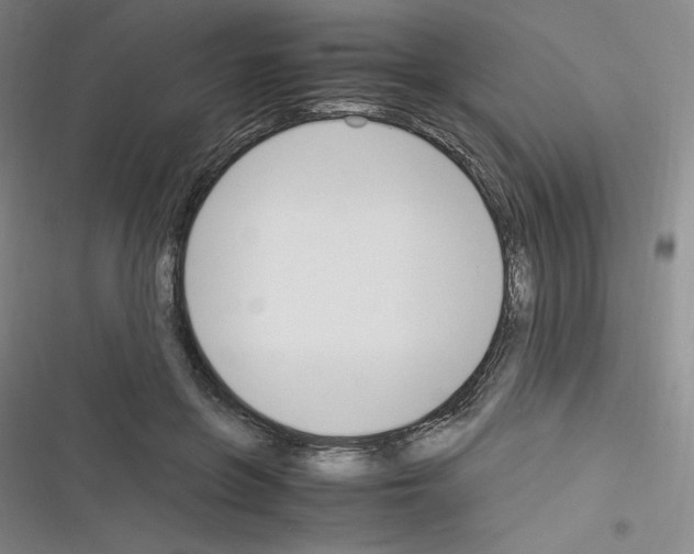 X0000116330551201001131026