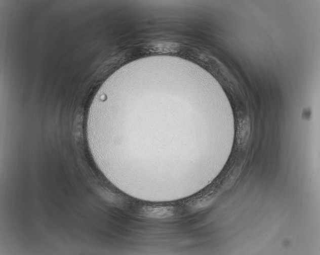 X0000116330553201001131026
