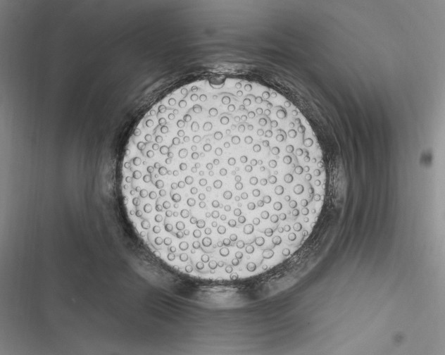 X0000116330554201001131026