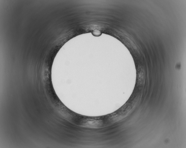 X0000116330555201001131026