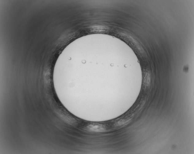 X0000116330557201001131026