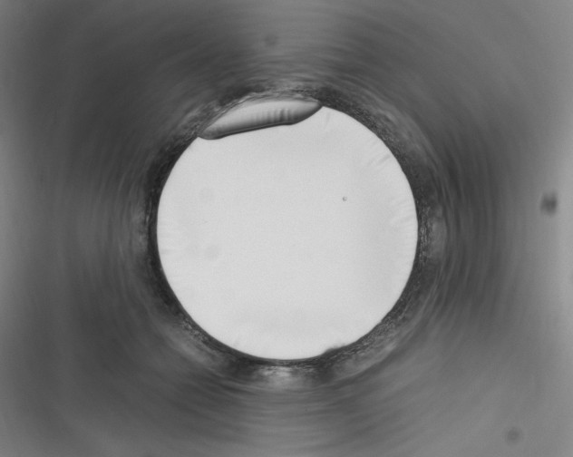 X0000116330558201001131027