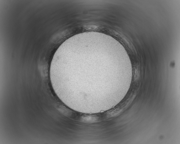 X0000116330561201001131027