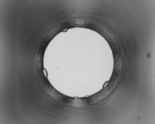 X0000116330562201001131027
